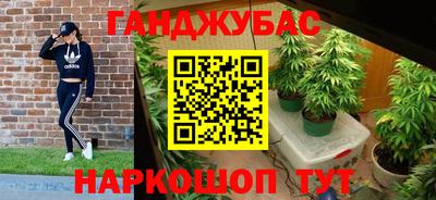 гашик Янаул