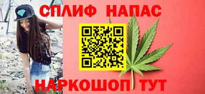 гашик Янаул
